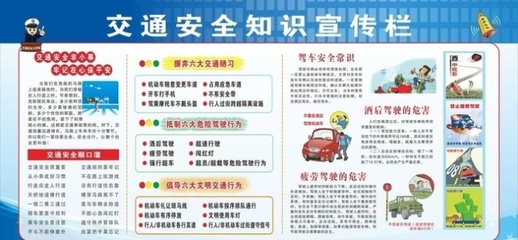 心肺復(fù)蘇與藥物過敏反應(yīng) 關(guān)鍵急診操作規(guī)程及急救資料獲取