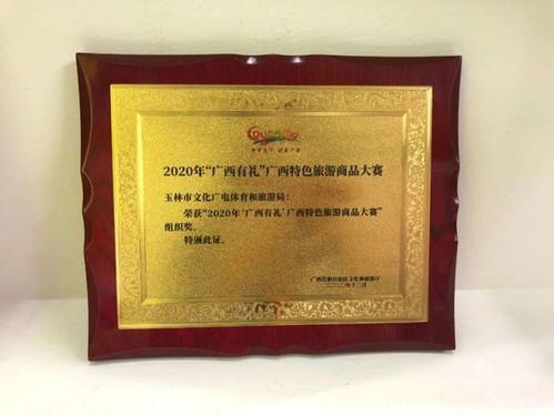 喜訊丨玉林學子技能大賽展風采，多項大獎彰顯卓越實力